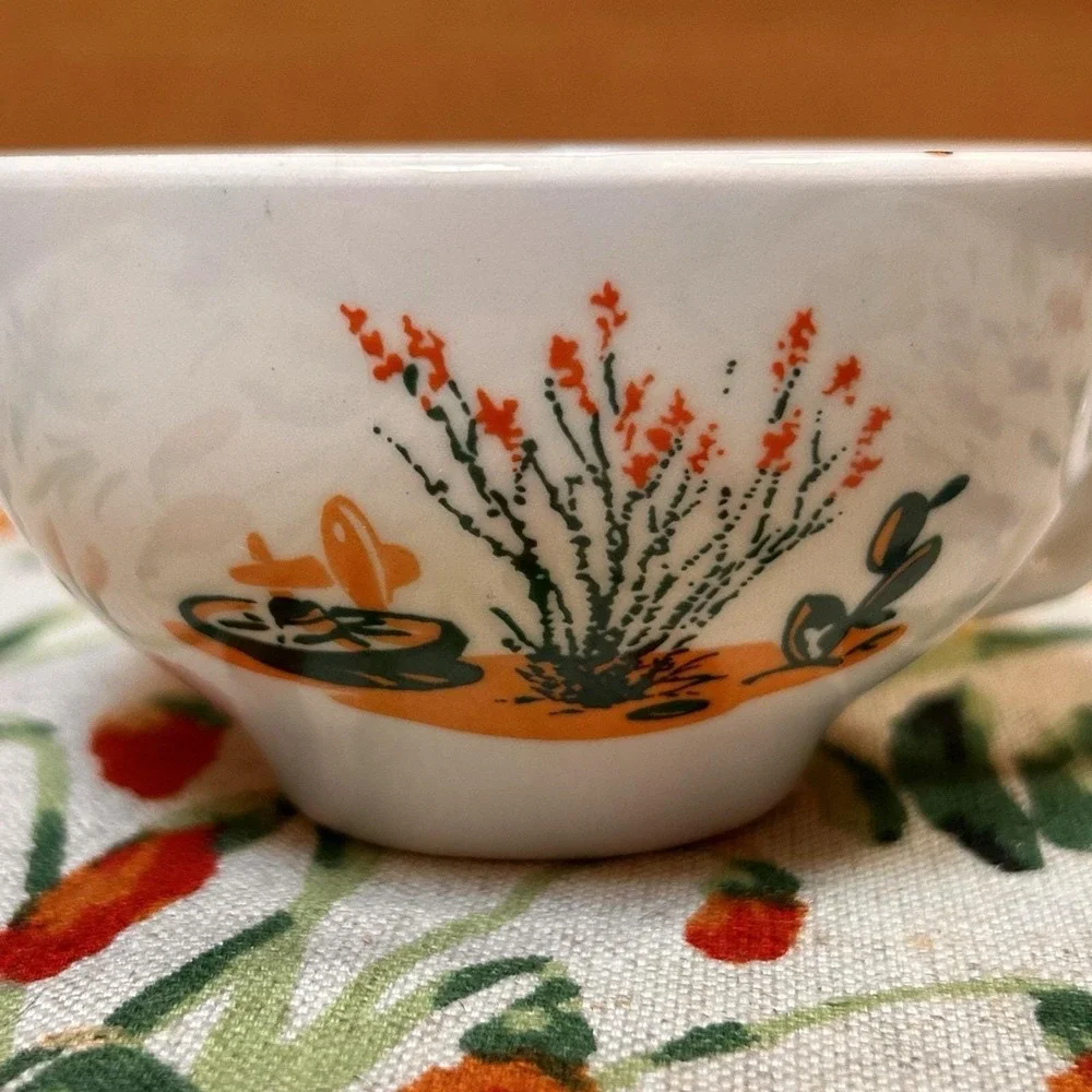 VTG Arizona Cactus Dinnerware Ocotillo Teacup Saucer Mid-Century Southwestern